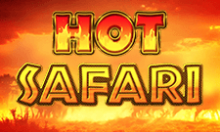 hot-safari