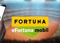 efortuna mobil