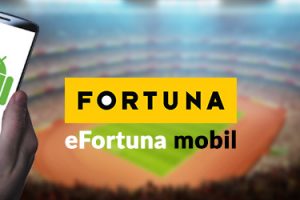 efortuna mobil